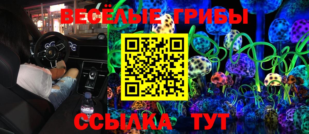 Биробиджан  Псилоцибиновые грибы мицелий  Вход с VPN 
